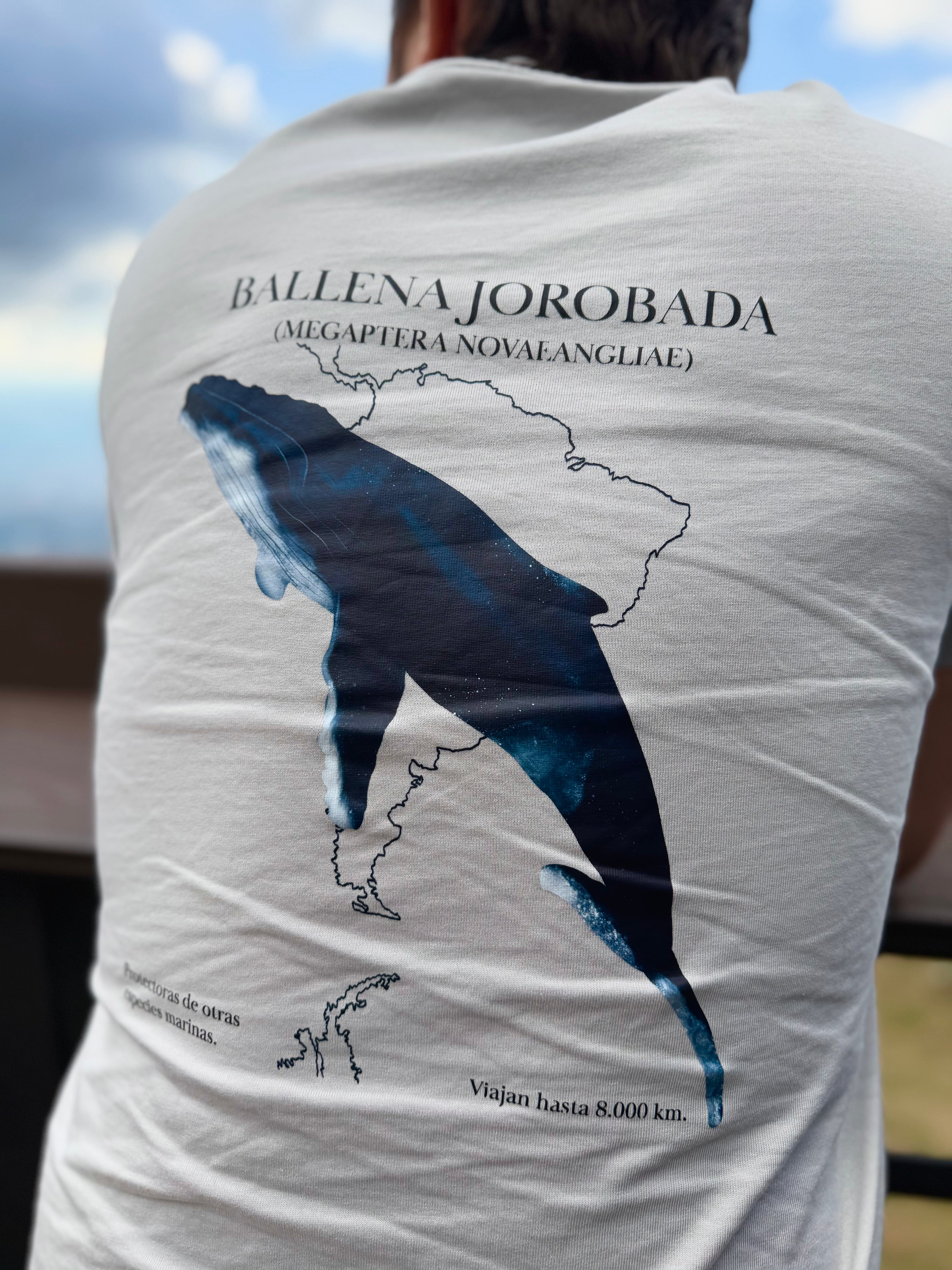 Camiseta Ballena Jorobada